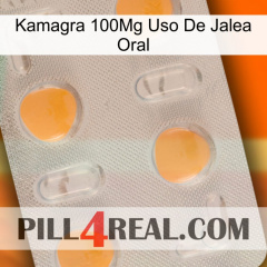 Kamagra 100Mg Oral Jelly Use 24